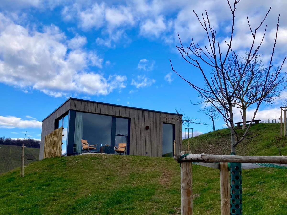Moselhoch Apartamento Klusserath Exterior foto