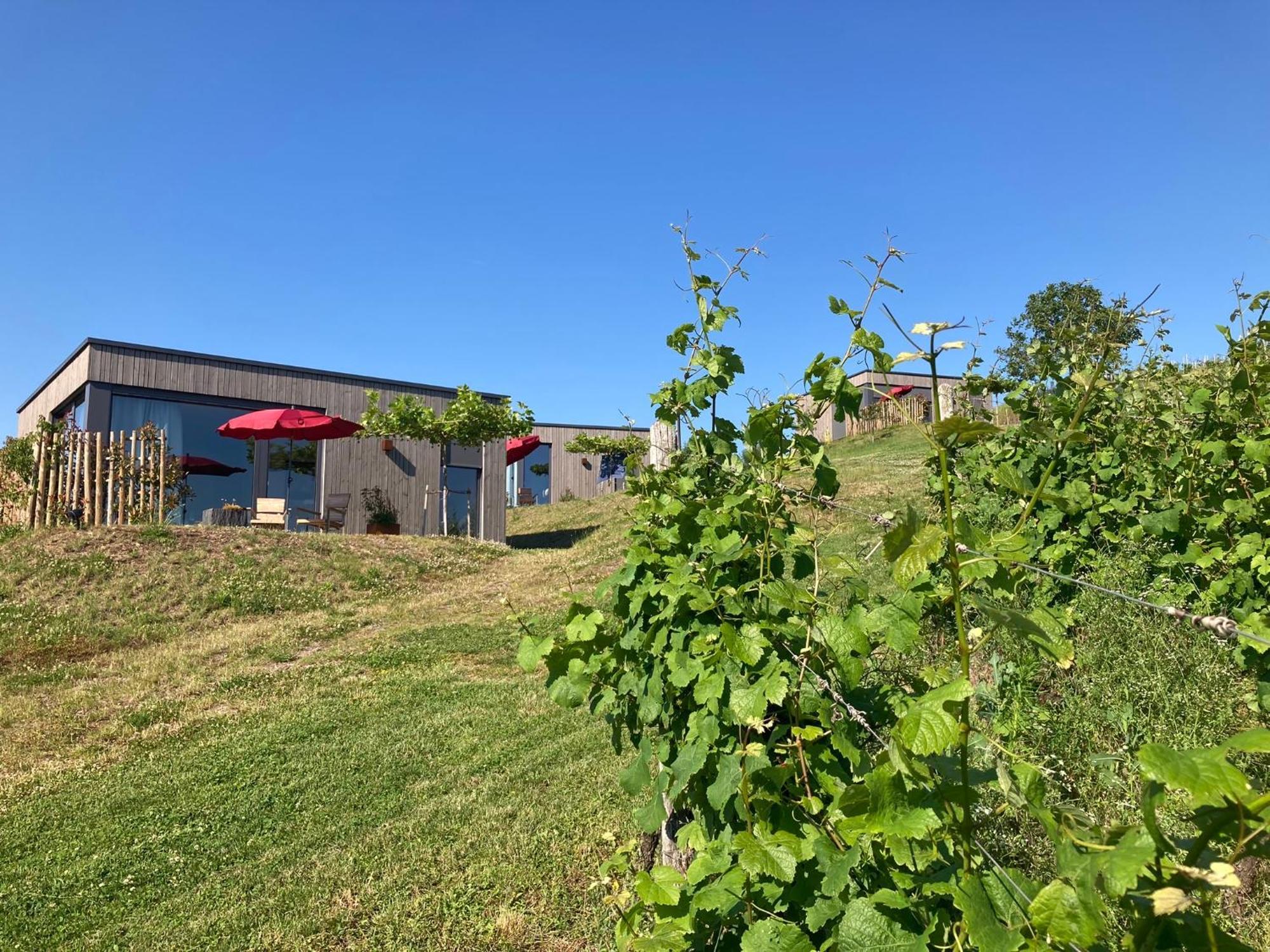 Moselhoch Apartamento Klusserath Exterior foto